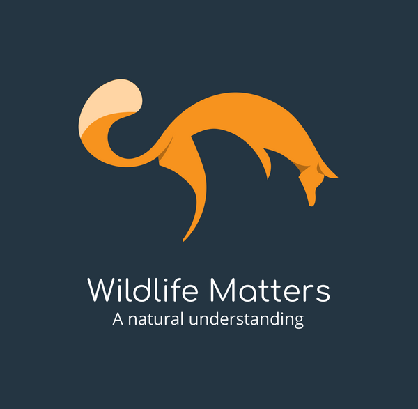 Wildlife Matters Shop